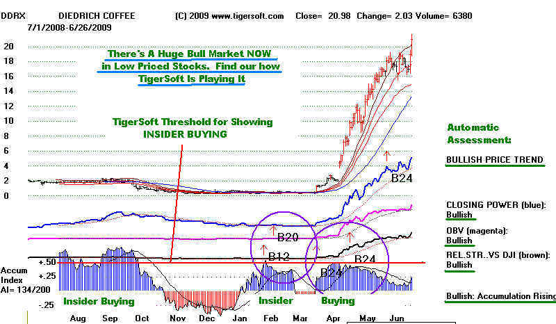 wpe175.jpg (70809 bytes)