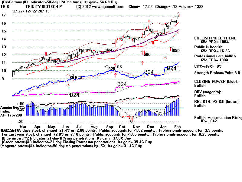TRIB.BMP (1920054 bytes)