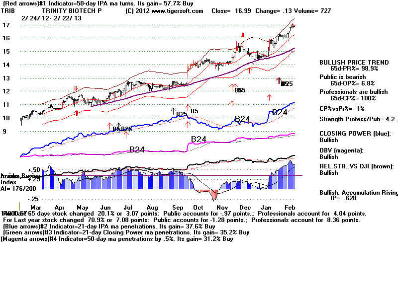 TRIB.BMP (1920054 bytes)
