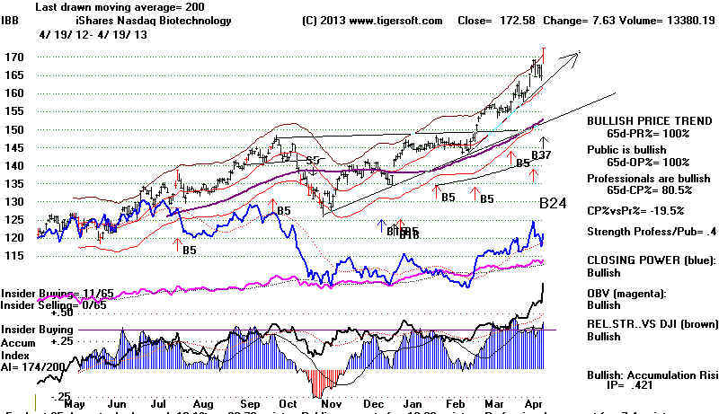 wpe18.jpg (81506 bytes)