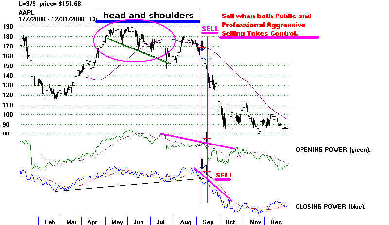 wpe16D.jpg (57135 bytes)