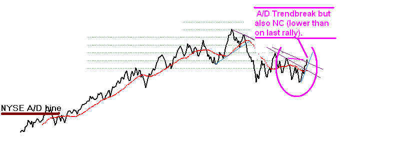 wpe2.jpg (25067 bytes)