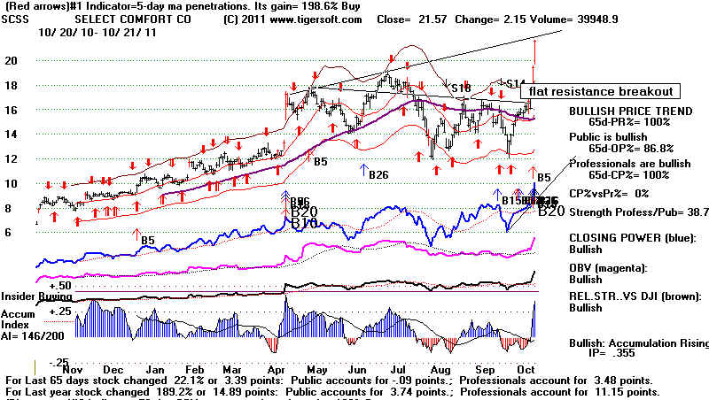 wpe2.jpg (84489 bytes)