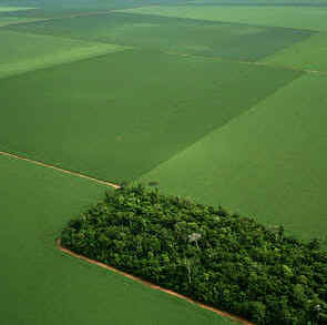 wpeD.jpg (8206 bytes)