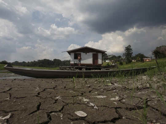 wpe29.jpg (21223 bytes)