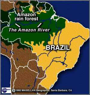 wpe10.jpg (18533 bytes)