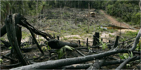 wpe15.jpg (39447 bytes)