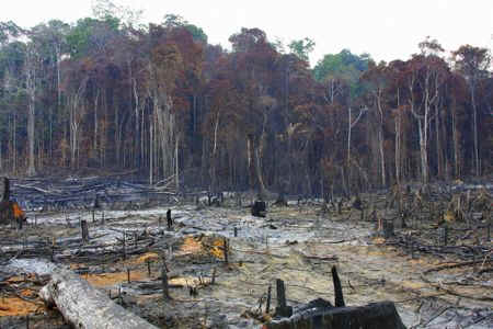 wpeF.jpg (21073 bytes)