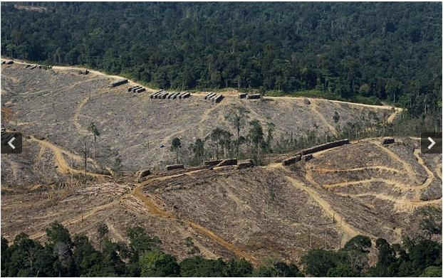 wpeE.jpg (39519 bytes)