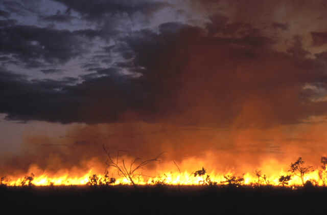 wpe13.jpg (17467 bytes)