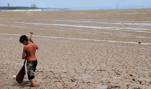 wpe11.jpg (22400 bytes)