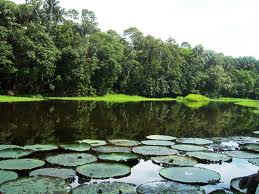 wpe16.jpg (10028 bytes)