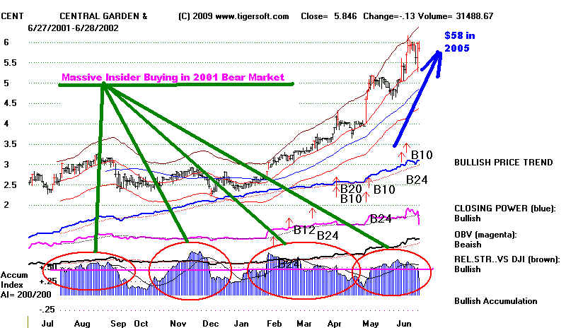 wpe1E9C.jpg (79668 bytes)
