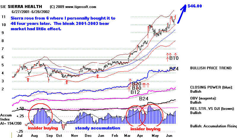 sie.bmp (1118454 bytes)
