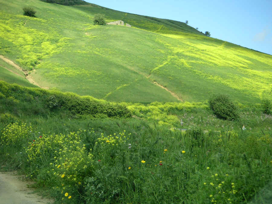 wpe28.jpg (75587 bytes)