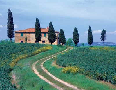 wpe1B.jpg (16646 bytes)