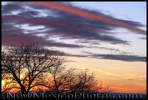 12.jpg (39004 bytes)