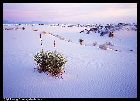 13.jpeg (40499 bytes)