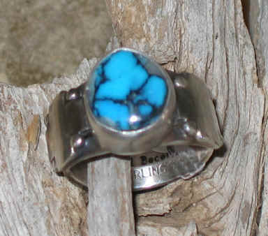 wpe458.jpg (17594 bytes)