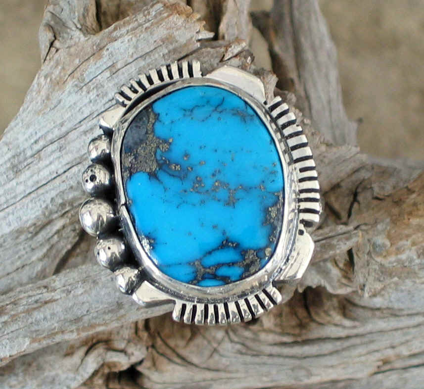 wpe45A.jpg (71130 bytes)