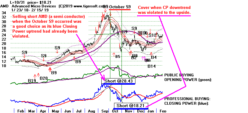 AMD.GIF (16622 bytes)