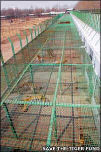 wpe1C.jpg (13049 bytes)