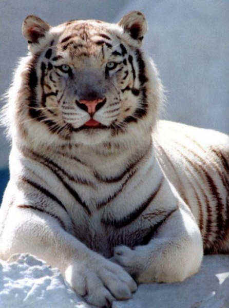 wpe1E.jpg (32217 bytes)