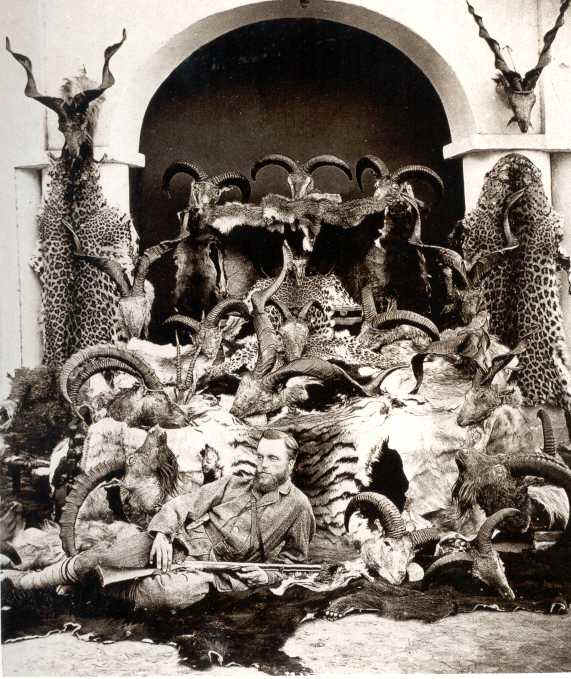 wpe15.jpg (72851 bytes)