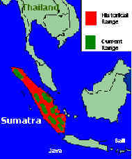 wpe15.jpg (9250 bytes)