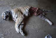 wpe1F.jpg (3518 bytes)