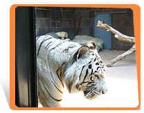 wpe12.jpg (6907 bytes)