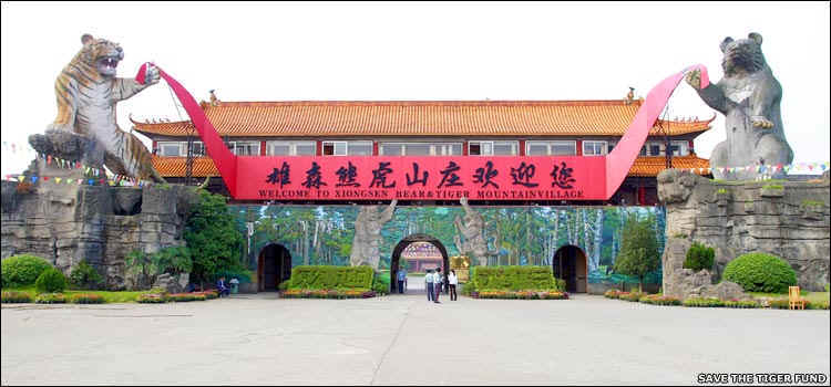 wpe1D.jpg (38053 bytes)