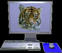 wpe1.jpg (5781 bytes)