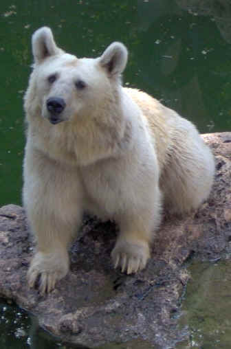 wpe9.jpg (16113 bytes)