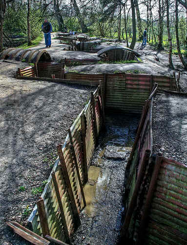 wpe1A4.jpg (44659 bytes)