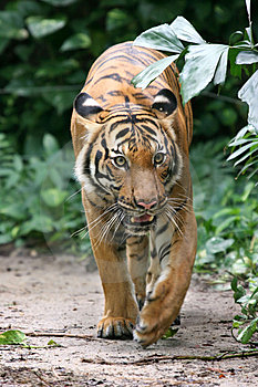 1148936480K5yE1p.jpg (58672 bytes)