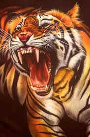 wpe1A8.jpg (9859 bytes)