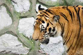 wpe1AE.jpg (10218 bytes)