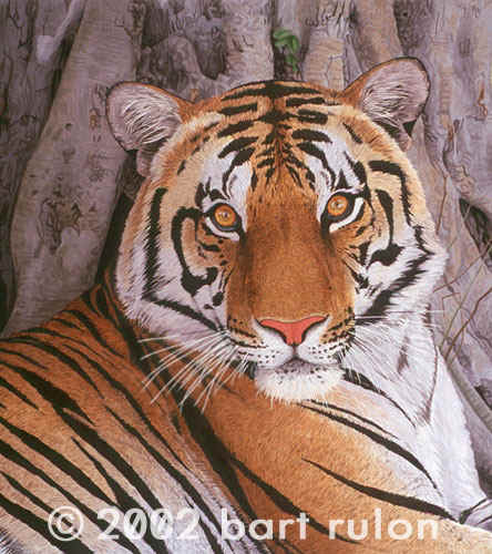 wpe1B6.jpg (39307 bytes)