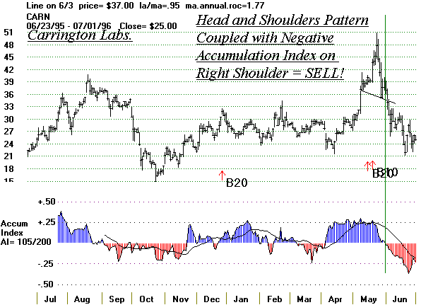 carn9596.gif (11589 bytes)