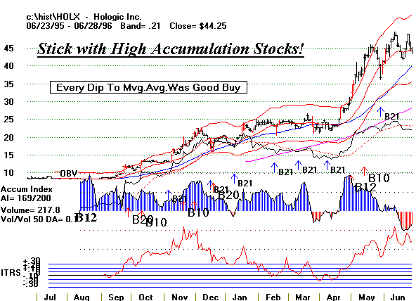 holx9596.gif (12641 bytes)