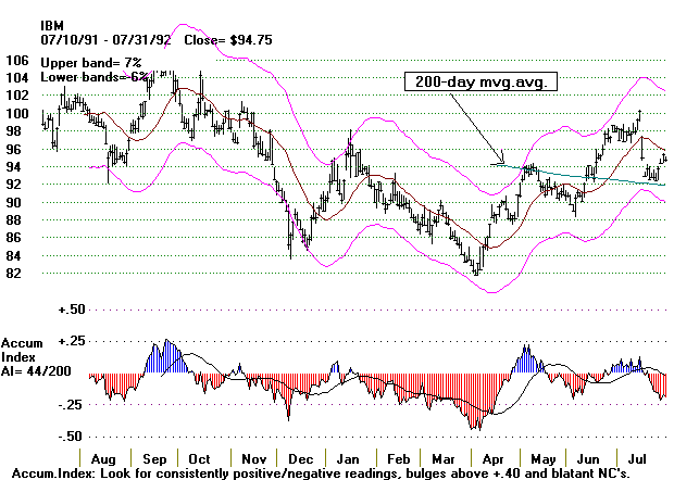 ibm9192.gif (12233 bytes)