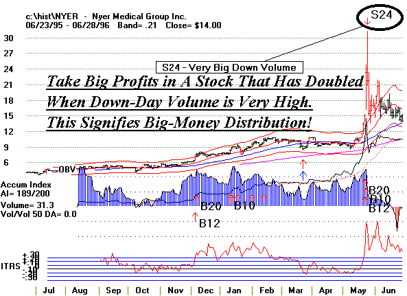 nyer9596.gif (13380 bytes)