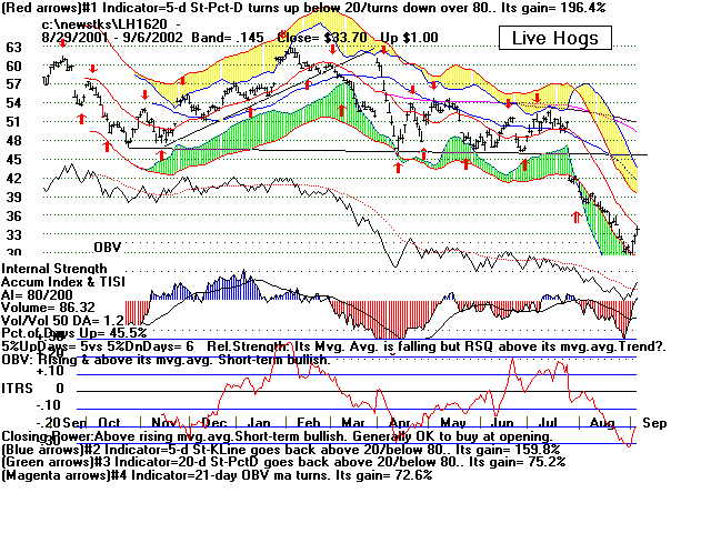 lh.gif (20360 bytes)