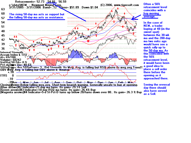 NEM-0402.gif (21815 bytes)