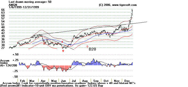 wpe11.jpg (52182 bytes)